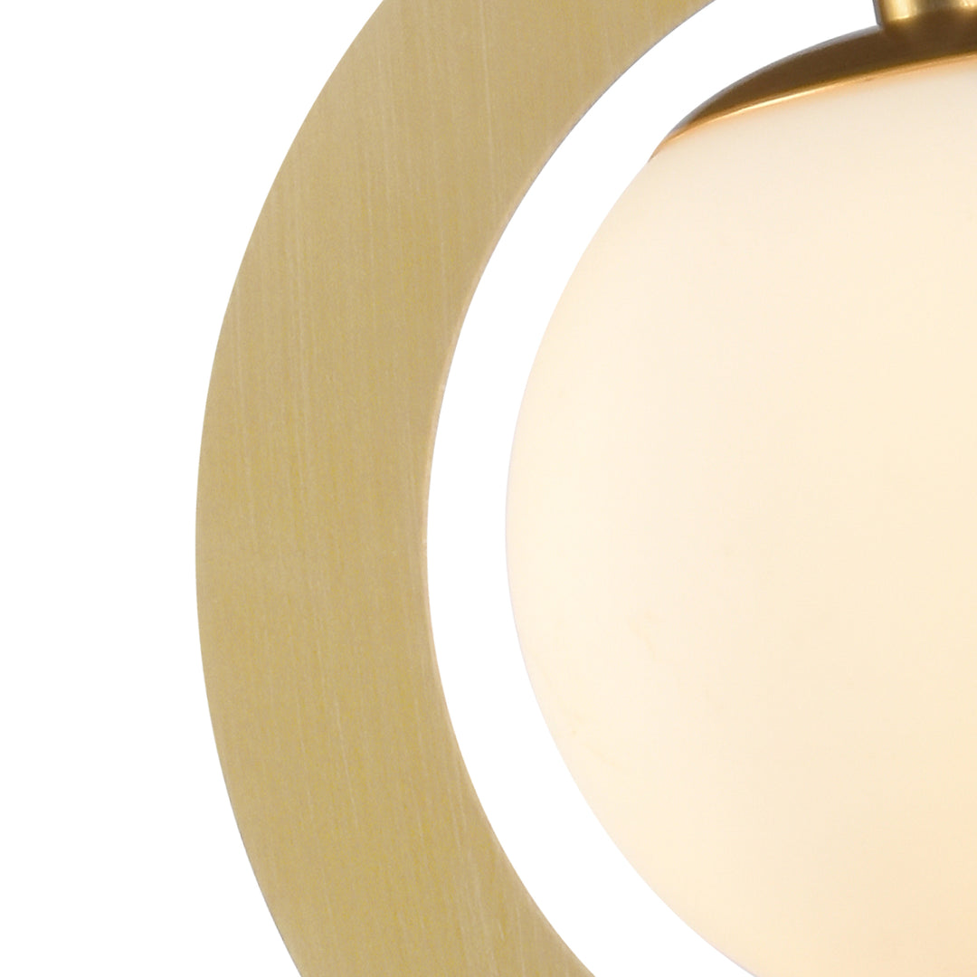 Maxax 1 - Light Single Globe Pendant with Wrought Iron Accents #MX5014