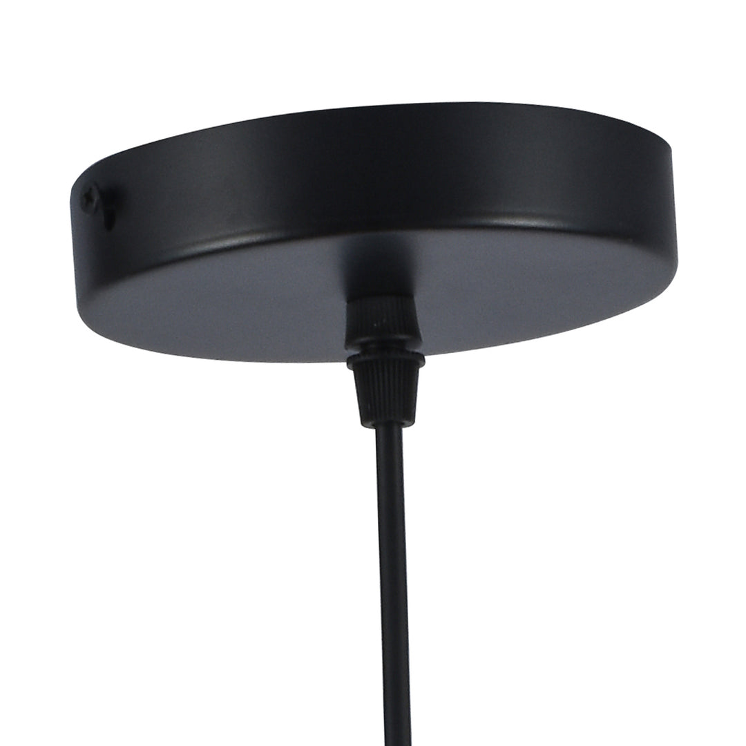 Maxax 1 - Light Single Globe Pendant with Wrought Iron Accents #MX5014
