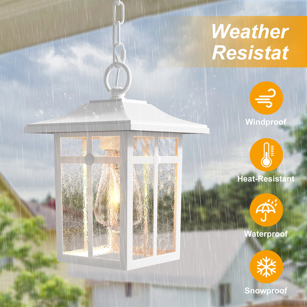 1- Light Outdoor Hanging Lantern #7055