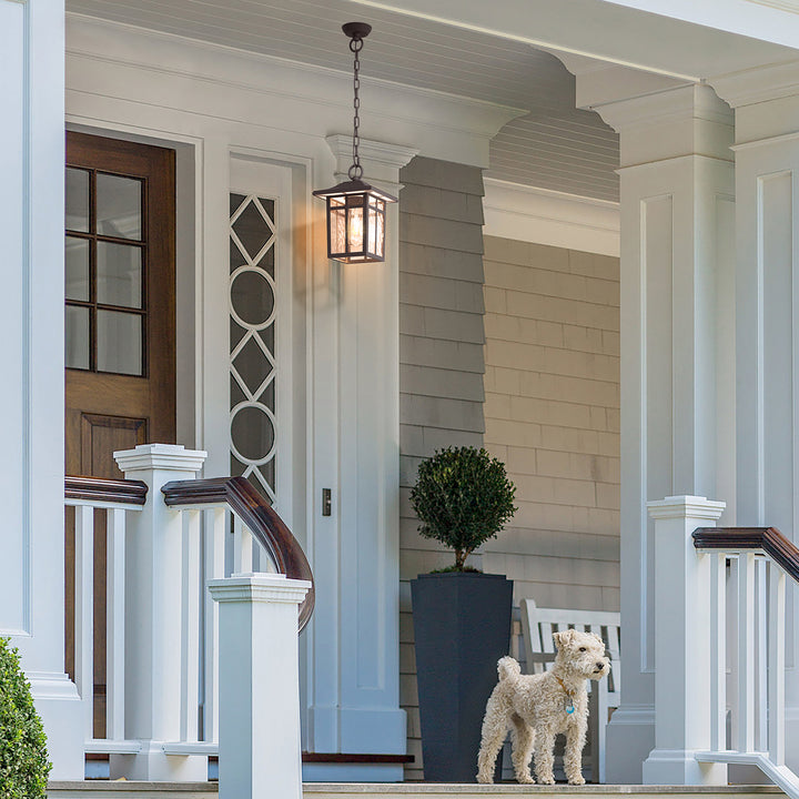 1- Light Outdoor Hanging Lantern #7055