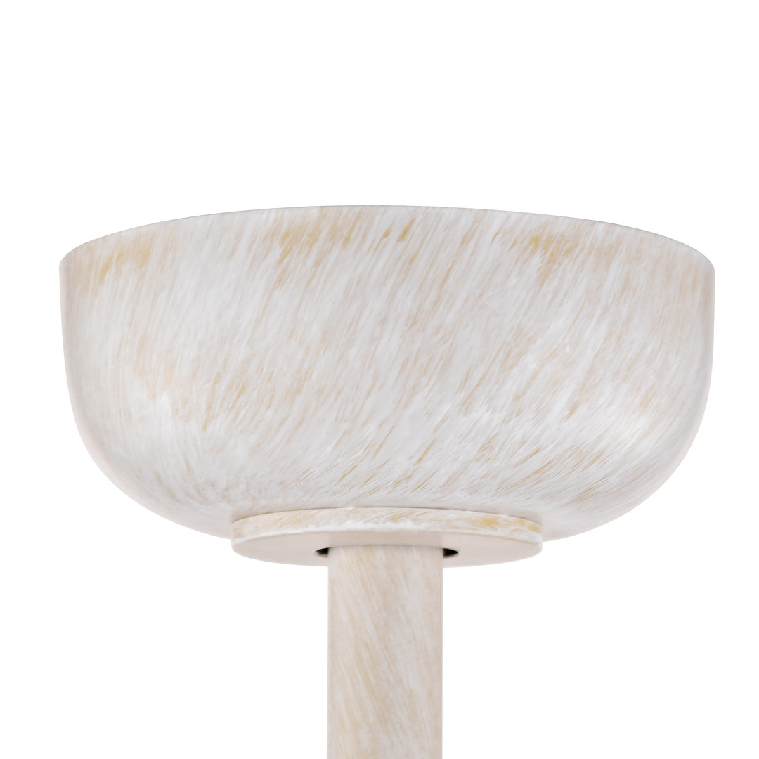 Maxax 19" Boho Caged Low Profile Ceiling Fan with Light and Remote, Stepless Color Temperature & 6 Speeds, Farmhouse Flush Mount Fan for Bedroom, Kitchen, Living Room, Kids Room #26001