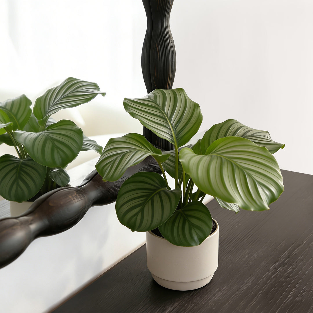 Opulence Solid Wood Rectangle Flat Wall Mirror #25032