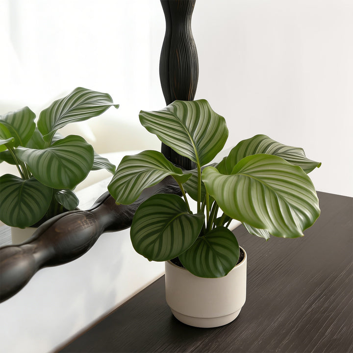 Opulence Solid Wood Rectangle Flat Wall Mirror #25032