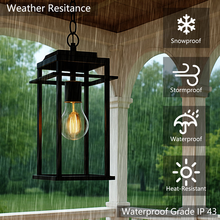 Solstice 1 - Light 15.8'' H Tempered Glass Outdoor Hanging Lantern #7073-1BK