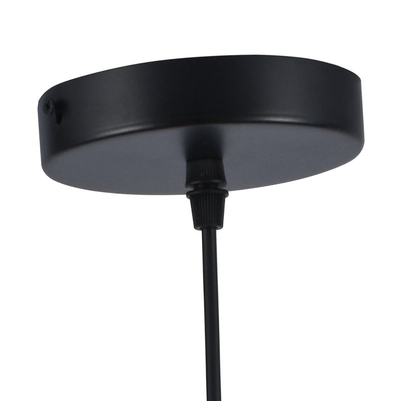 Maxax 1 - Light Single Globe Pendant with Wrought Iron Accents 