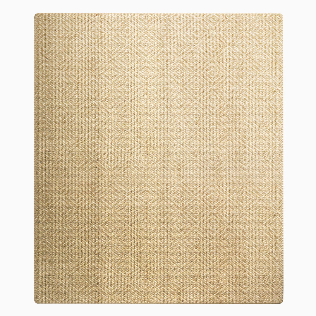 Jute Power Loom Natural Fibers Farmhouse Style Area Rug For Dining Room Living Room Kitchen, Off White/Natural #DT23-301