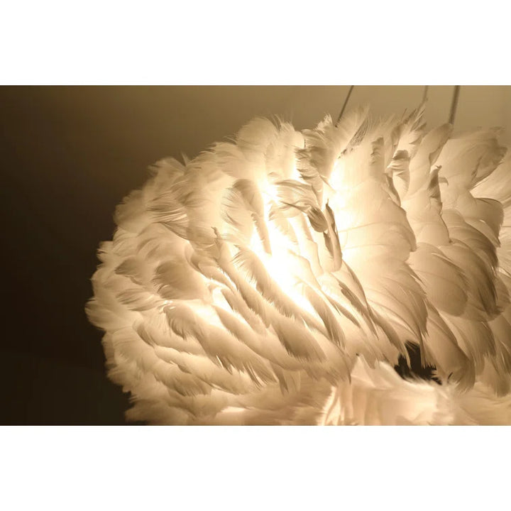 Maxax 6 - Light Shaded Globe Chandelier With Feather Accents #MX19115