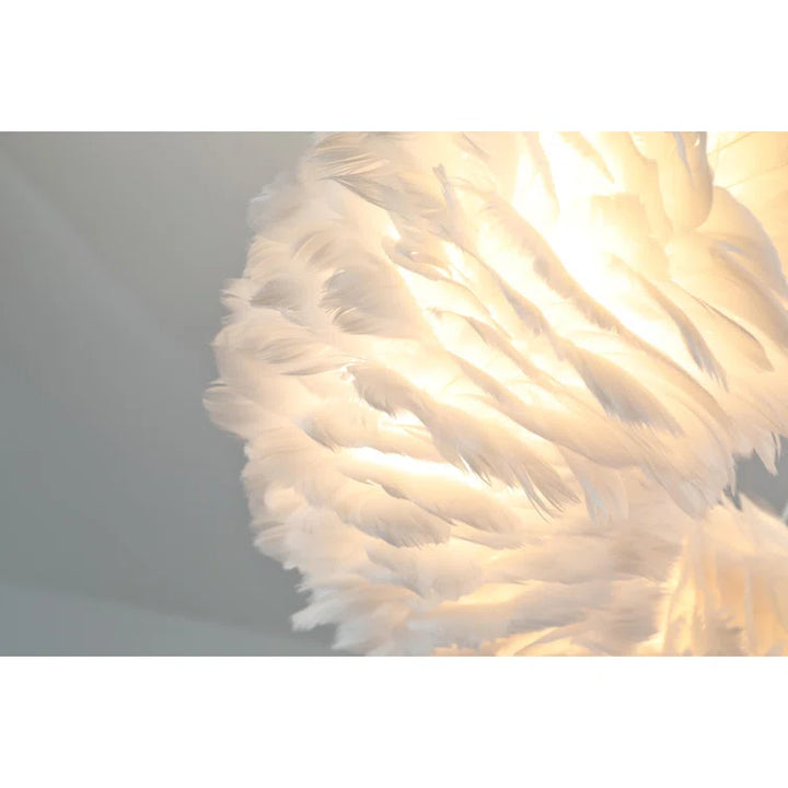 Maxax 6 - Light Shaded Globe Chandelier With Feather Accents #MX19115
