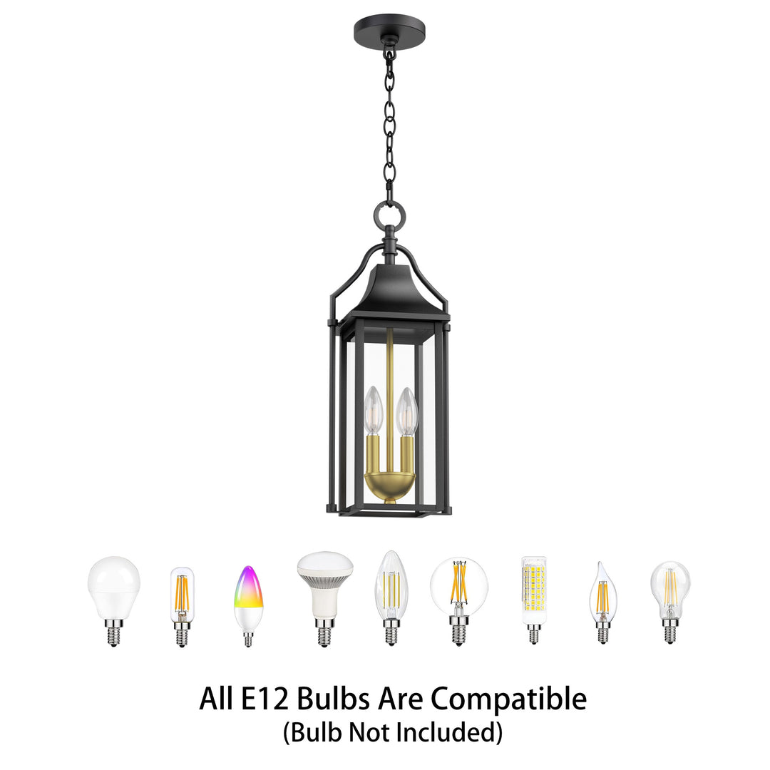 Element 20'' H Black and Gold Iron Outdoor Hanging Lights with Tempered Glass #7093