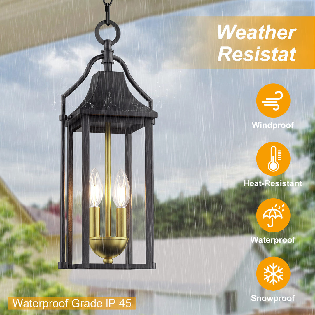 Element 20'' H Black and Gold Iron Outdoor Hanging Lights with Tempered Glass #7093