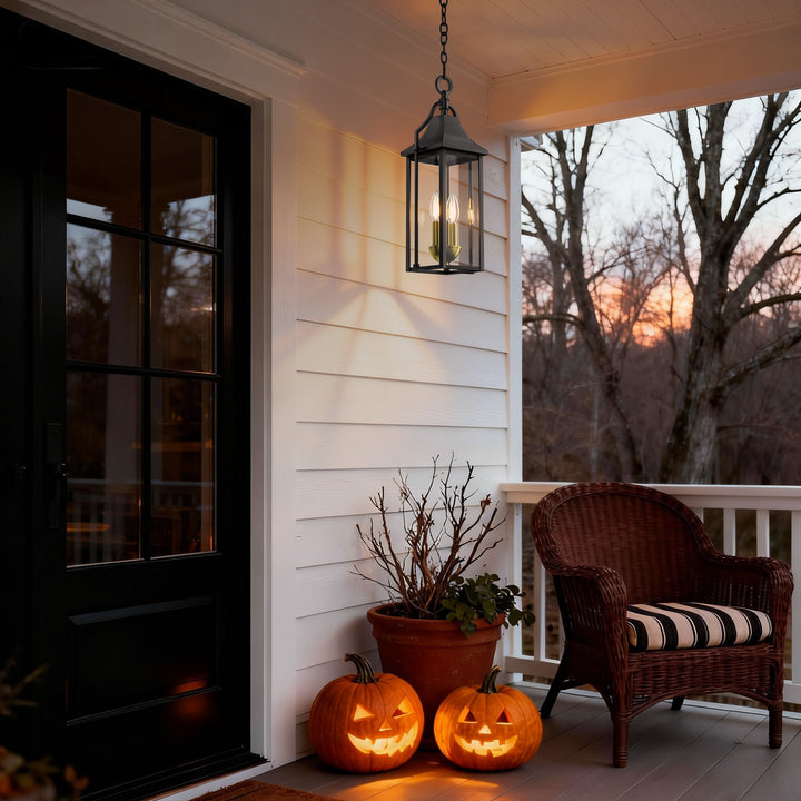 Element 20'' H Black and Gold Iron Outdoor Hanging Lights with Tempered Glass #7093