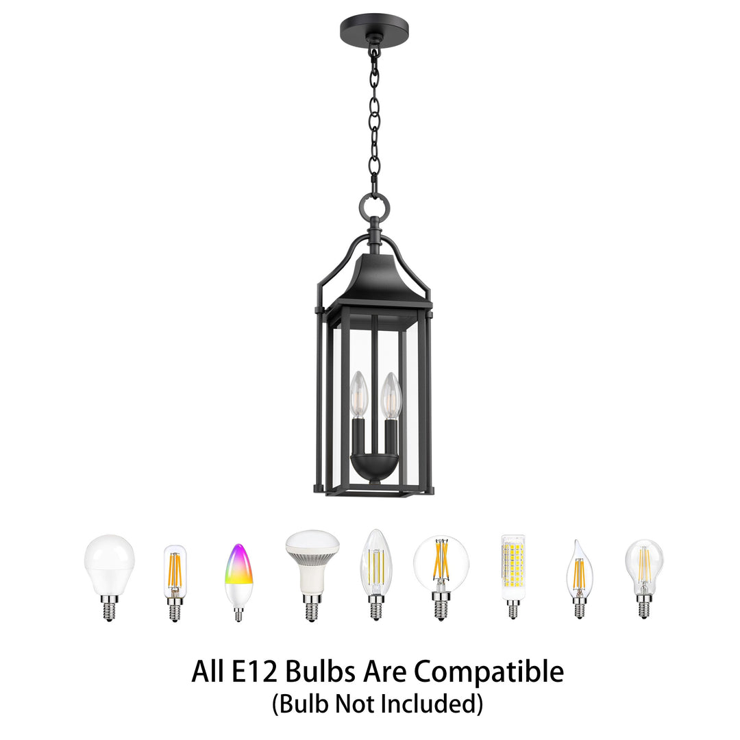 Element 20'' H Black and Gold Iron Outdoor Hanging Lights with Tempered Glass #7093