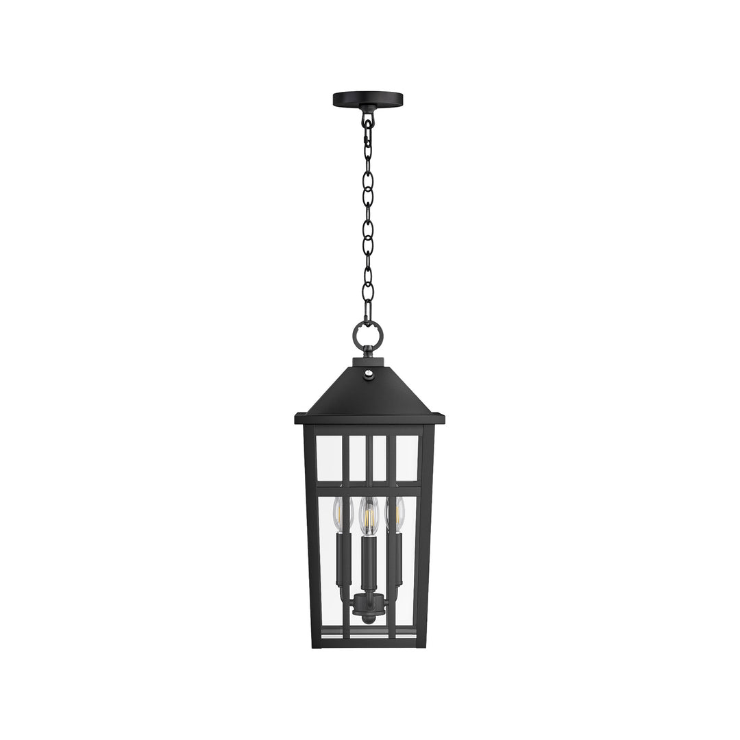 Element 3 - Light 21''H Adjustable Black Iron ETL Outdoor Hanging Lights with Clear Tempered Glass and Dusk to Dawn #OP7126
