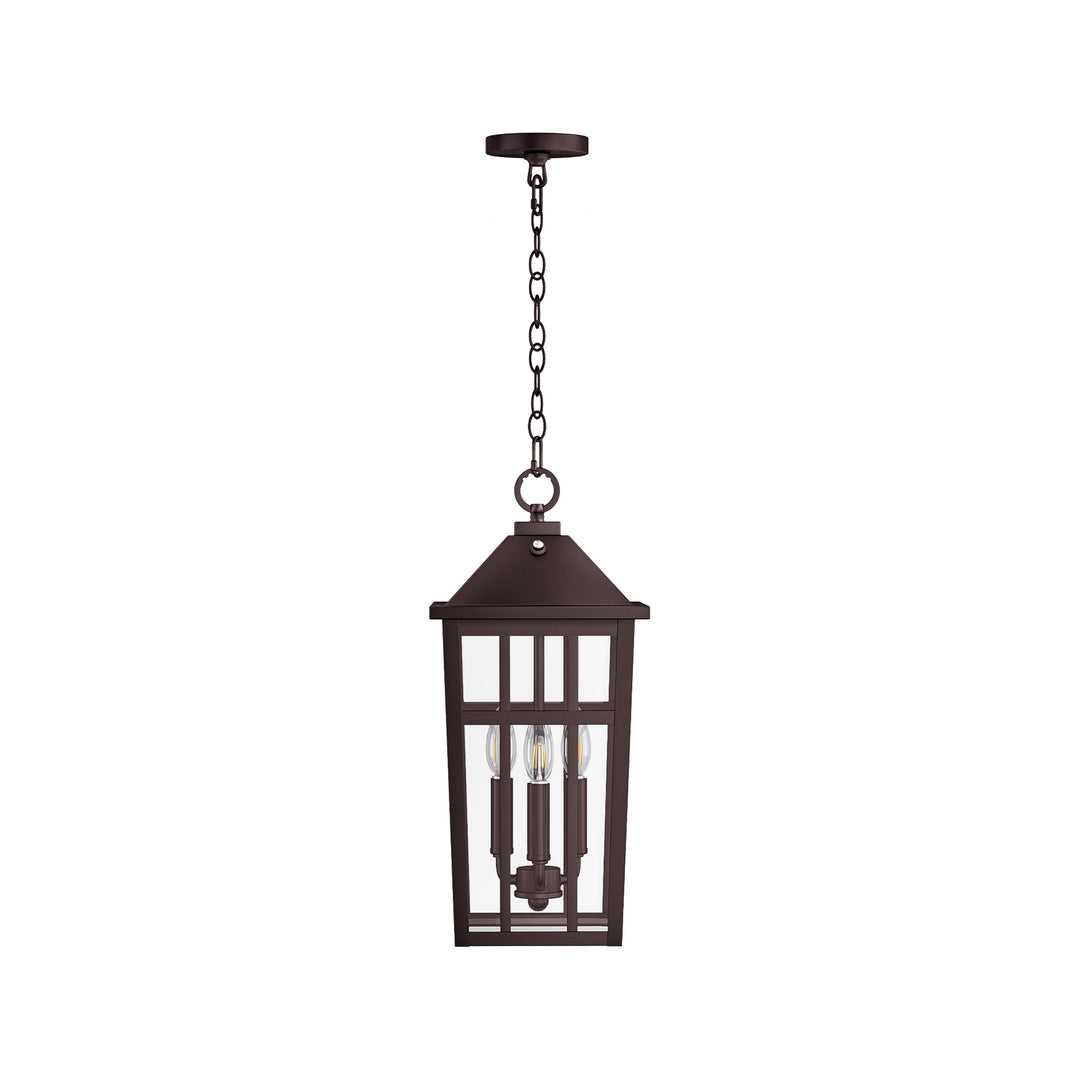 Element 3 - Light 21''H Adjustable Black Iron ETL Outdoor Hanging Lights with Clear Tempered Glass and Dusk to Dawn #OP7126