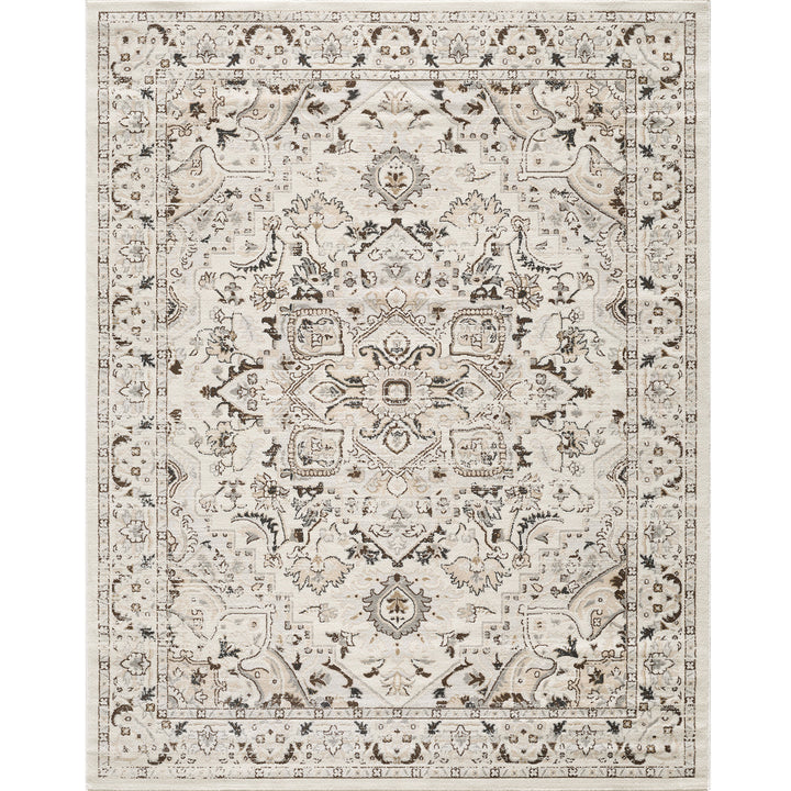 Losh Performance Brown/Beige/Cream Area Rug #TM701