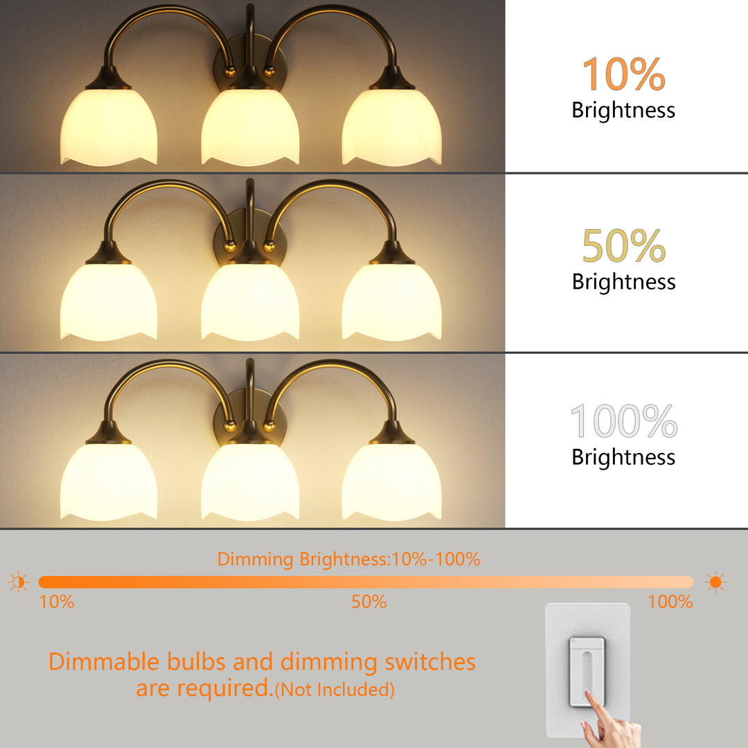 23.6''W 3-Light Dimmable Vanity Light with Opal Glass #39014
