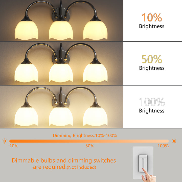 23.6''W 3-Light Dimmable Vanity Light with Opal Glass #39014