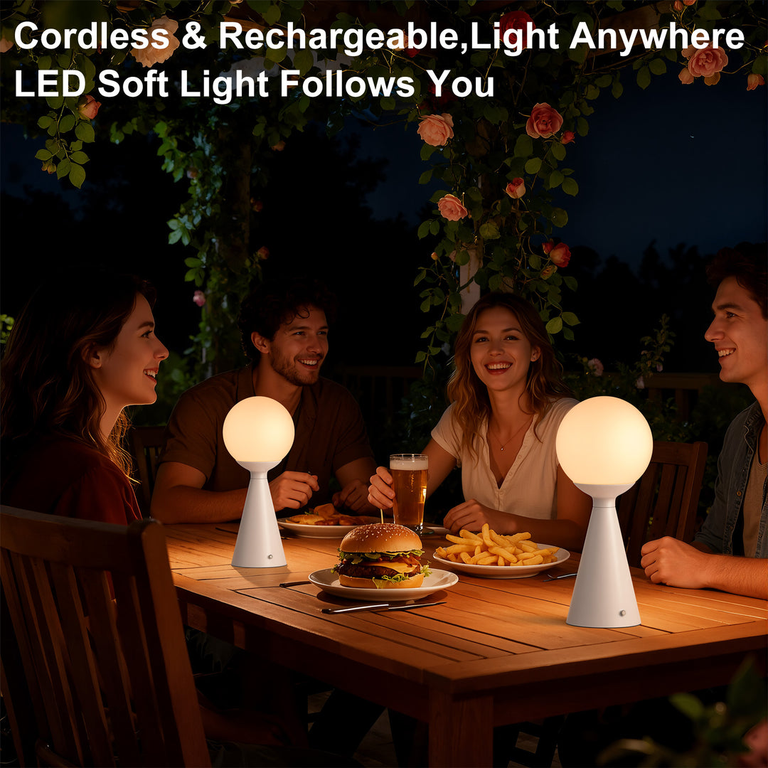Vivid 13" Modern Rechargeable Touch Led Table Lamp With Round Shade And Usb-C Charging #T279
