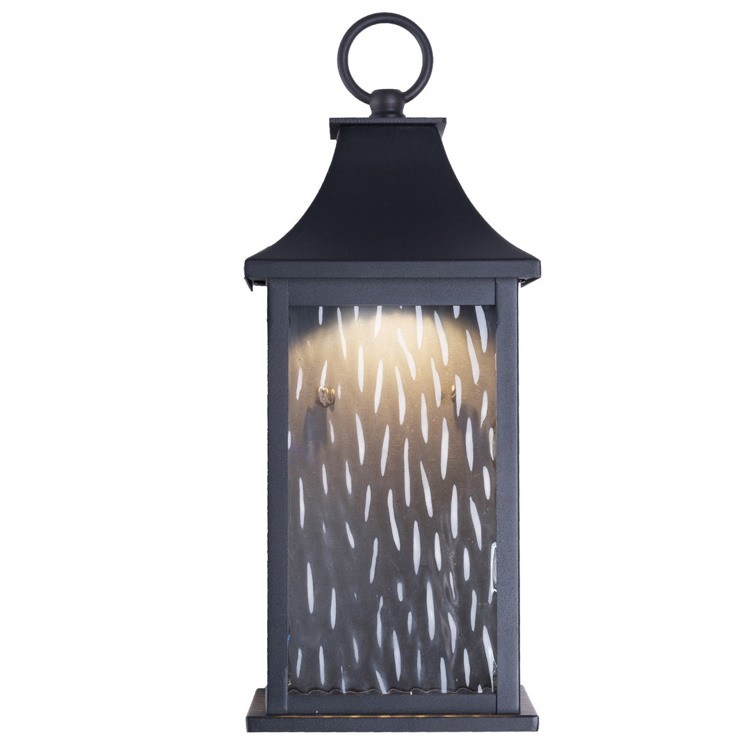 Natura 15''H Dimmable LED Black Iron Outdoor Wall Light with Dusk to Dawn and Water Glass #OW7111