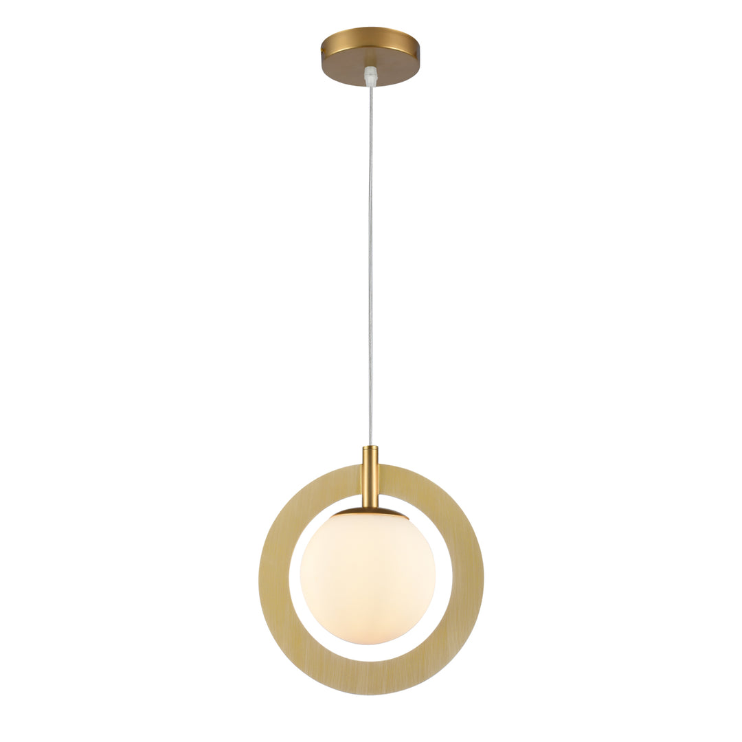 Maxax 1 - Light Single Globe Pendant with Wrought Iron Accents #MX5014-P1BK