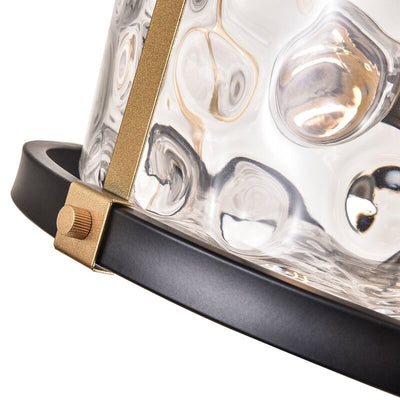 Maxax 2 - Light Ceiling Flush Mount with Glass, Black & Gold finish #MX19107-2BK-P